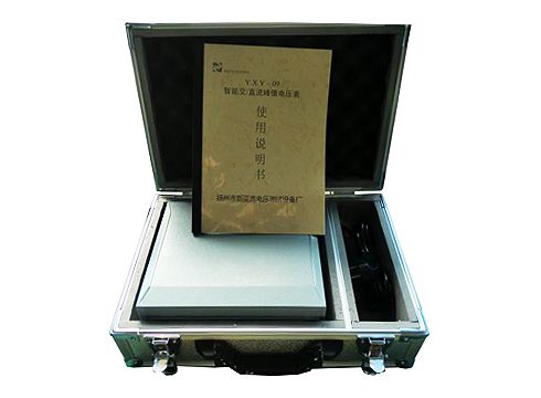 SYXY-09 智能交/直流峰值电压表